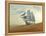 Sailing Ship In Desert-Mike_Kiev-Framed Stretched Canvas