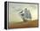 Sailing Ship In Desert-Mike_Kiev-Framed Stretched Canvas