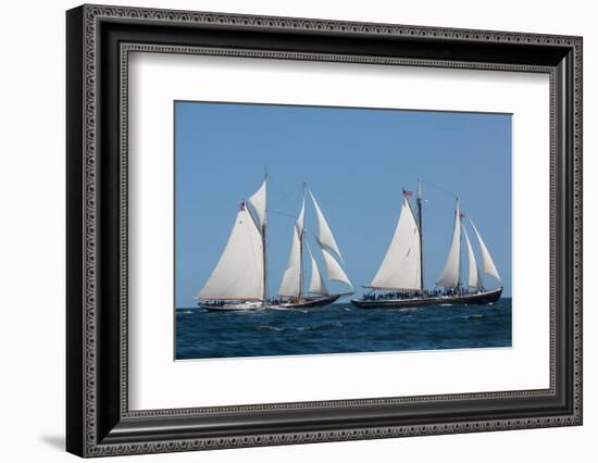 Sailing ship in the ocean at Gloucester Schooner Festival, Gloucester, Cape Ann, Essex County, M...-null-Framed Photographic Print