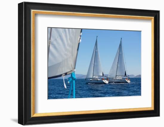 Sailing Ship Yachts with White Sails in a Row.-De Visu-Framed Photographic Print