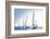 Sailing Ship Yachts with White Sails-Andrew Bayda-Framed Photographic Print