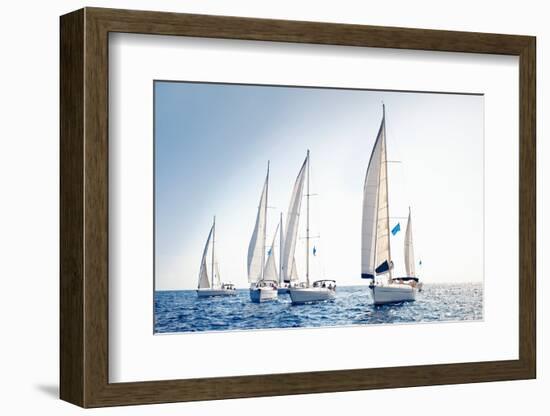 Sailing Ship Yachts with White Sails-Andrew Bayda-Framed Photographic Print