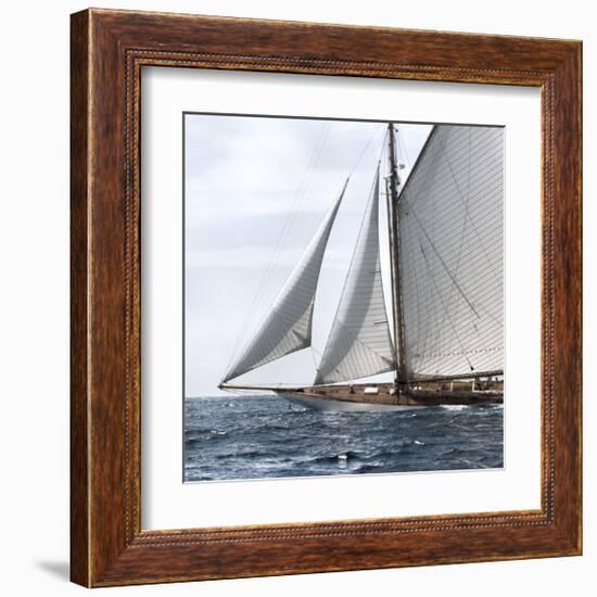 Sailing South-Jorge Llovet-Framed Giclee Print