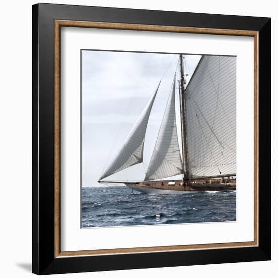 Sailing South-Jorge Llovet-Framed Giclee Print