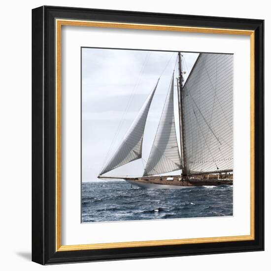 Sailing South-Jorge Llovet-Framed Giclee Print