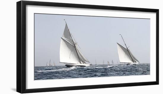 Sailing South-Jorge Llovet-Framed Giclee Print