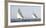 Sailing South-Jorge Llovet-Framed Giclee Print