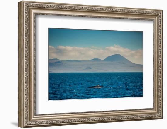 Sailing the Galapagos Islands, Ecuador, South America-Laura Grier-Framed Photographic Print