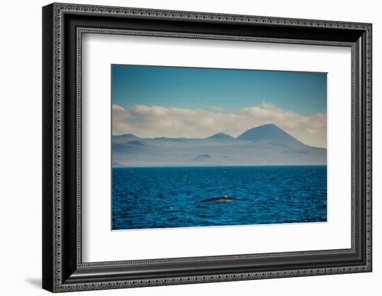Sailing the Galapagos Islands, Ecuador, South America-Laura Grier-Framed Photographic Print
