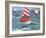 Sailing with Dolphins-Peter Adderley-Framed Premium Giclee Print