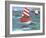 Sailing with Dolphins-Peter Adderley-Framed Premium Giclee Print