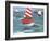 Sailing with Dolphins-Peter Adderley-Framed Premium Giclee Print