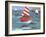 Sailing with Dolphins-Peter Adderley-Framed Art Print