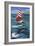 Sailing with Dolphins-Peter Adderley-Framed Premium Giclee Print