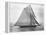 Sailing Yacht Valkyrie-null-Framed Premier Image Canvas