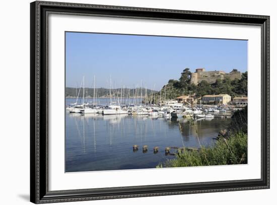 Sailing Yachts and Other Boats Moored at Port Cros Island in Front of Fort De L'Eminence Castle-Nick Upton-Framed Photographic Print