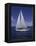 Sailing-null-Framed Premier Image Canvas