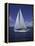 Sailing-null-Framed Premier Image Canvas