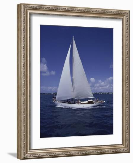 Sailing-null-Framed Photographic Print