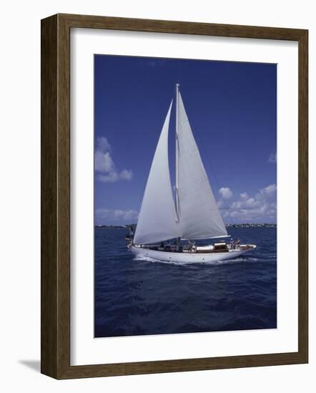 Sailing-null-Framed Photographic Print