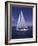 Sailing-null-Framed Photographic Print