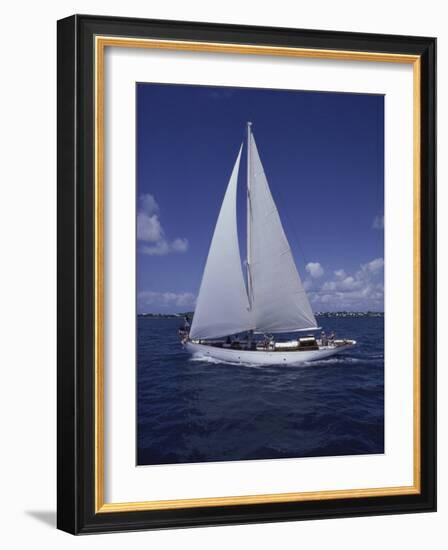 Sailing-null-Framed Photographic Print