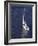 Sailing-null-Framed Photographic Print