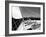 Sailing-null-Framed Photographic Print