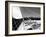 Sailing-null-Framed Photographic Print