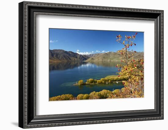 Sailors Cutting in autumn, Waitaki Valley, North Otago, South Island, New Zealand-David Wall-Framed Photographic Print