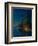 Sails at Night-Alexander Fyodorovich Gaush-Framed Giclee Print