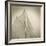 Sails of Friendship Sloop-Michael Kahn-Framed Giclee Print