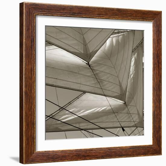 Sails-null-Framed Photographic Print