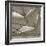 Sails-PhotoINC Studio-Framed Art Print