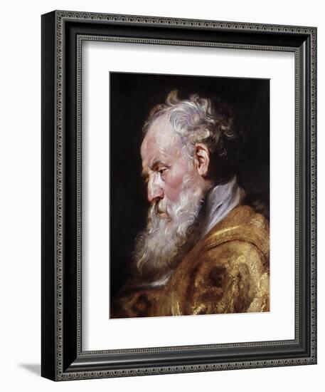 Saint Ambrose-Peter Paul Rubens-Framed Giclee Print