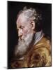 Saint Ambrose-Peter Paul Rubens-Mounted Giclee Print