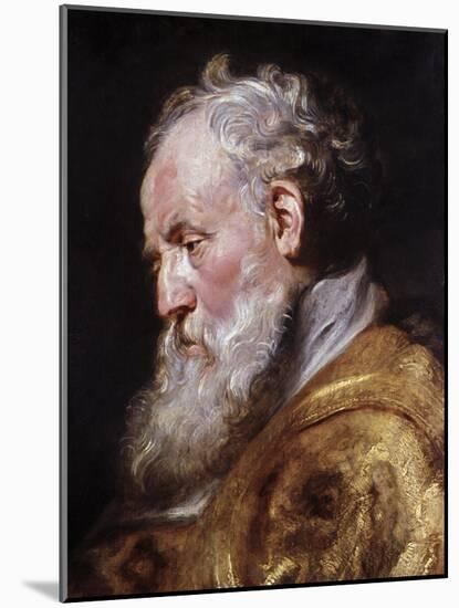 Saint Ambrose-Peter Paul Rubens-Mounted Giclee Print