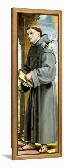 Saint Anthony of Padua-Bernardo Zenale-Framed Premier Image Canvas