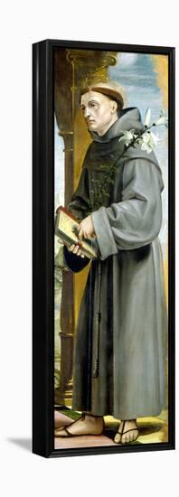 Saint Anthony of Padua-Bernardo Zenale-Framed Premier Image Canvas