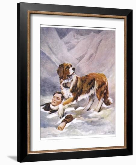 Saint Bernard Finds a Man Trapped in the Snow-A. Scott Rankin-Framed Photographic Print