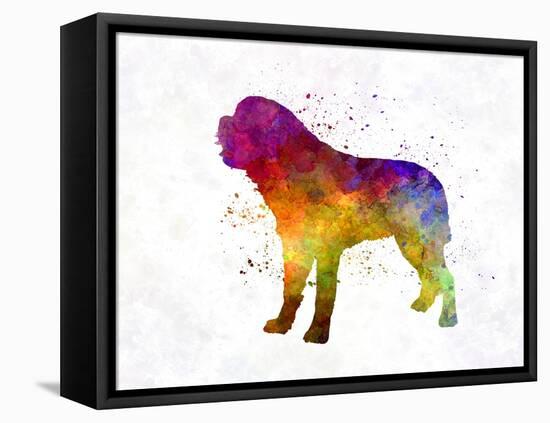 Saint Bernard in Watercolor-paulrommer-Framed Stretched Canvas