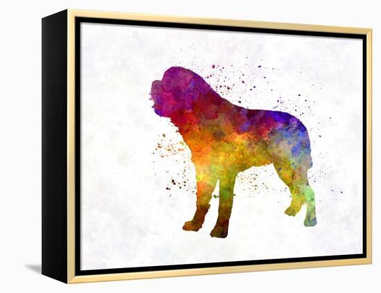 Saint Bernard in Watercolor-paulrommer-Framed Stretched Canvas