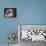Saint Bernard Puppy Portrait-Jai Johnson-Framed Premier Image Canvas displayed on a wall