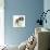 Saint Bernard Puppy, Vogue-Mark Taylor-Photographic Print displayed on a wall