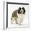 Saint Bernard Puppy, Vogue-Mark Taylor-Framed Photographic Print