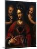 Saint Catherine, 1527-1531-Bernardino Luini-Mounted Giclee Print