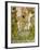 Saint Christopher, 1423-null-Framed Giclee Print