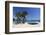 Saint-Clair Beach, Le Lavandou, Var, Provence-Alpes-Cote D'Azur, Provence, France, Europe-Stuart Black-Framed Photographic Print