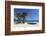 Saint-Clair Beach, Le Lavandou, Var, Provence-Alpes-Cote D'Azur, Provence, France, Europe-Stuart Black-Framed Photographic Print