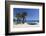 Saint-Clair Beach, Le Lavandou, Var, Provence-Alpes-Cote D'Azur, Provence, France, Europe-Stuart Black-Framed Photographic Print